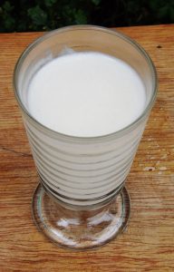 leite de semente de melão